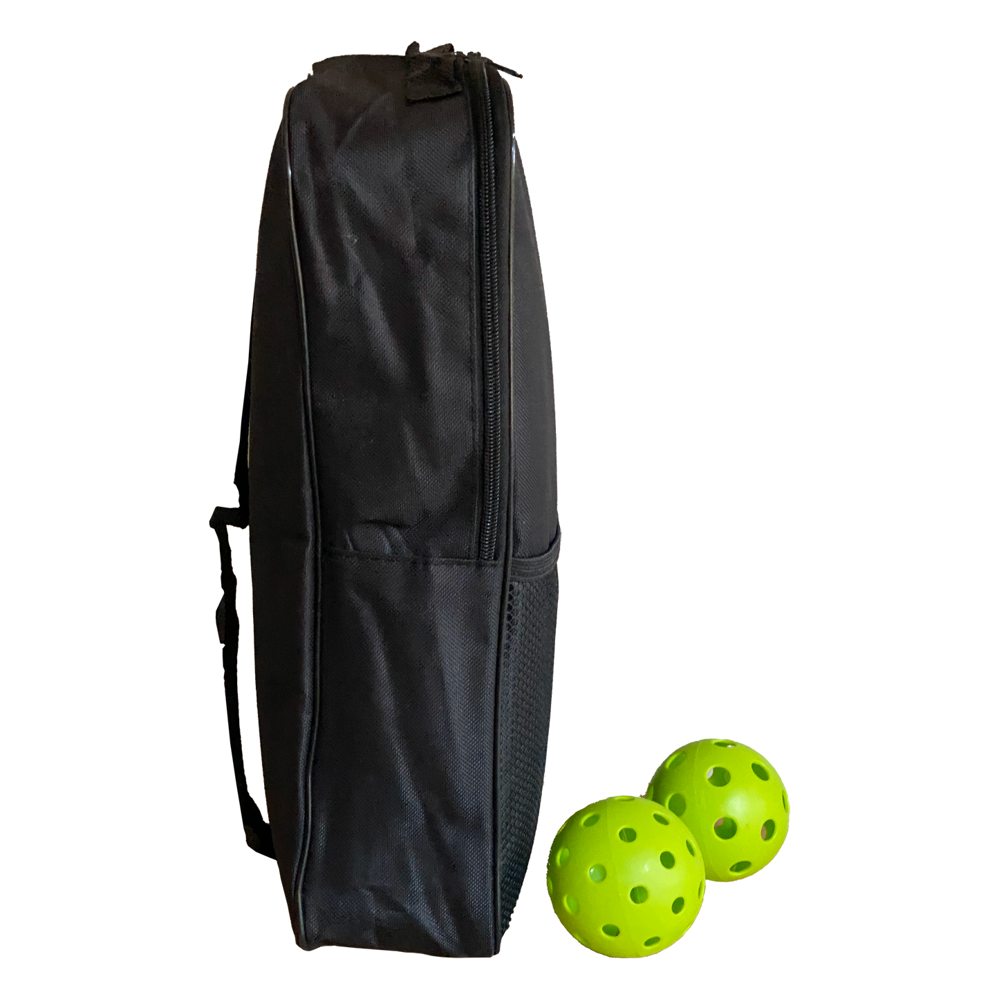 Carrying Case